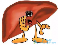 ��������(SORAFENAT)���Ʒ����Ե������Լ�״�ٰ�Ч������