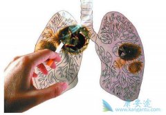 ��Сϸ���ΰ������ڻ����ڼ����ֵĲ�����Ӧ