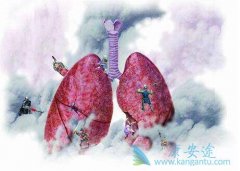 ���ܷ�Сϸ���ΰ���Ĥת��5�����Ʒ���