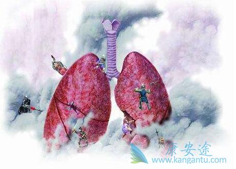 ��Сϸ���ΰ�