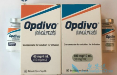 ���䵥��(Opdivo)��Yervoy���������״�ΰ�����������������