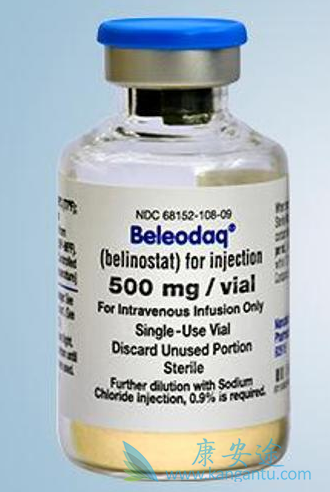 ����˾��