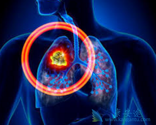 ����ɳ������