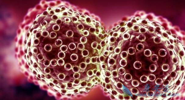 ӡ�ȸ�����