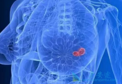 ��˹̹��������̹������OFS��5�������ٰ��¼����Ի���4%