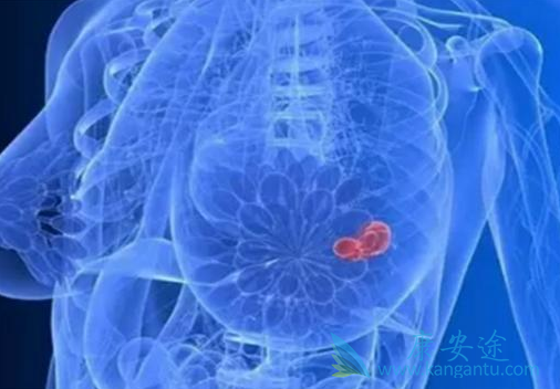 ������̹