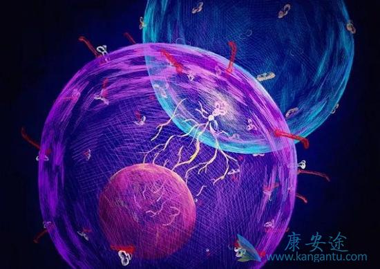 ����ҽ��