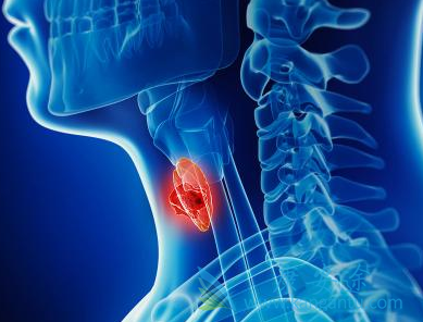 �����鵥��