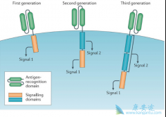 cartϸ���Ʒ�yescarta��kymriah�����������պ�������˳��