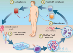 CARTϸ���Ʒ���������ҽ���������Щ����