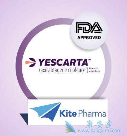 CARTϸ������