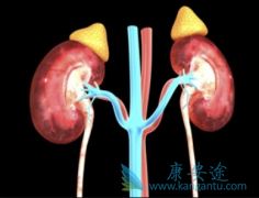 ��������/��̹���иζ�������������ҩ�ڼ�Ӧ���ι���