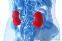 ���г������ߵ��޼�������������������/��̹���ƶ�����