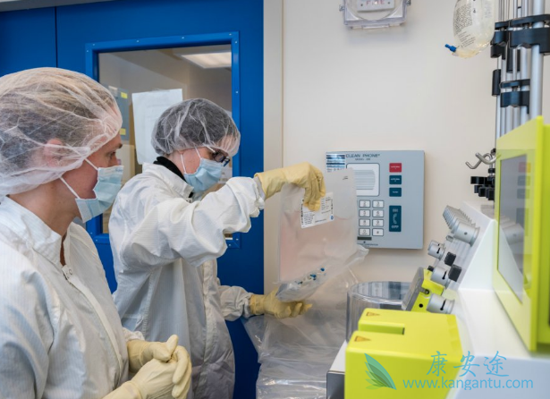 CARTϸ������