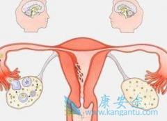 ������Ƭ����߶����ѳ��ۺ������ߵ�����Ч����������