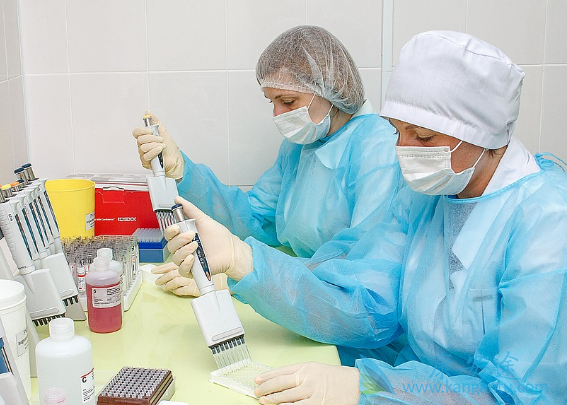 CARTϸ����������