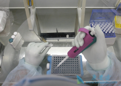 CARTϸ�������Ʒ�ͨ���Ի���Tϸ���ı����ǿʶ����������