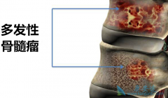 �෢�Թ���������������/�������������ڼ�Ӧ�������඾��