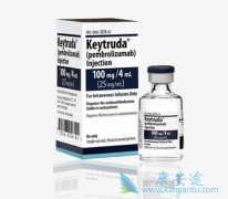 PD-1���Ƽ�Opdivo��Keytruda�����������Ʒ����������ĵ�λ