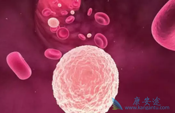 ���������쳣�ۺ���