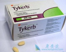 ���������������굥����������HER2�������ٰ�����Ч�Ա�