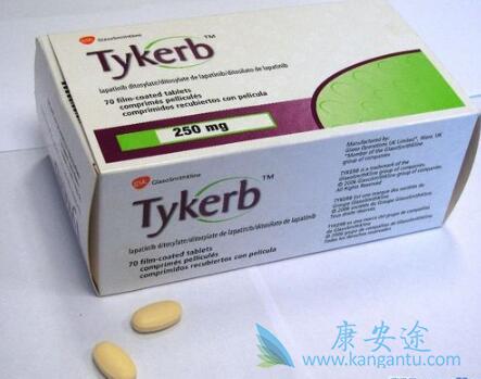 拉帕替尼 拉帕替尼