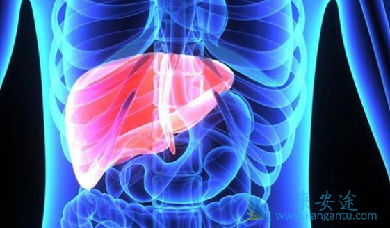 �ΰ�������