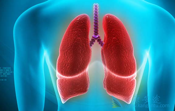 肺癌化疗 肺癌化疗