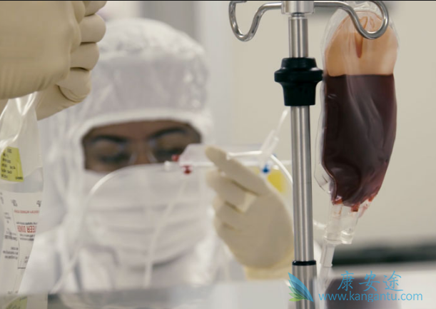 CARTϸ���Ʒ�