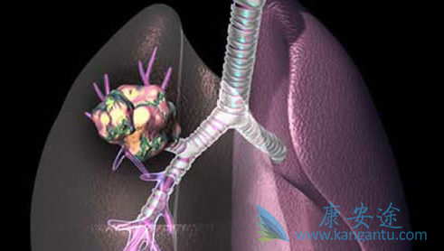 ���ڷΰ�������