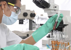 CARTϸ���Ʒ�������ŷ������ ����ȫ�������ǵ���