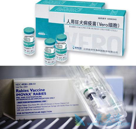长春长生生物狂犬疫苗生产记录造假 长春长生生物狂犬疫苗生产记录造假