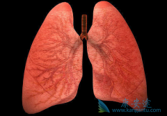 ��������(Xalkori)�����ܵķΰ����߿ɲ��ÿ�����������METͻ��