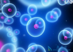 ��ϣ����/̩��ɳ��󽵵������ڷΰ����ߵļ�����չ����