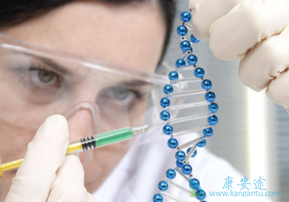 CARTϸ������