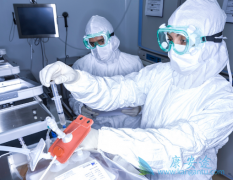 2014������ȫ��CART�����Ʒ��о���������