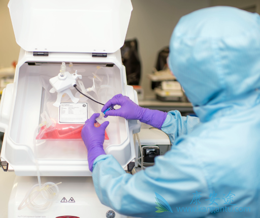 CARTϸ������