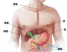 ���ٰ�֢״�����ڻ��л����������