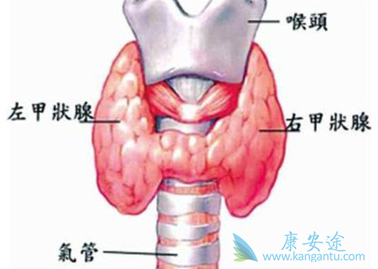 ��״�ٰ�֢״