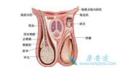 غ�谩֢״����������Щ���֣���غ�谩��ԭ��