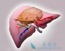 ���ΰ�ҩ������(STIVARGA)�����������ʹ��˳����������