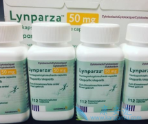 �ѳ��������İ���PARP���Ƽ��а�����������������