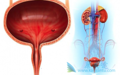 ���߳��ֱ�Ѫһ���ǰ��װ�֢״��