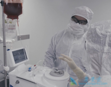 ŵ������CAR-Tϸ�������Ʒ�������־�˰�֢������ʱ���ĵ���