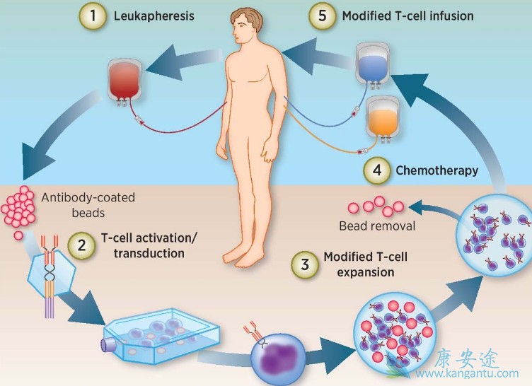 CAR-Tϸ���Ʒ�