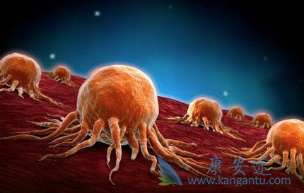 ��֢�����ܻ���