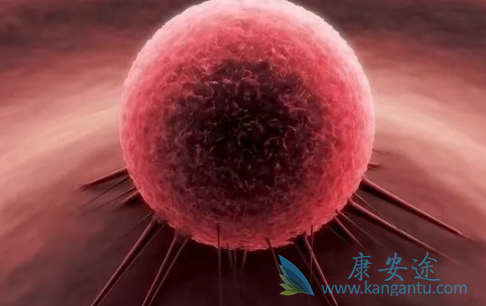 ��֢����