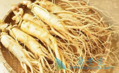 ���ư�֢��ҩѡ����ҩ��Ҫ����