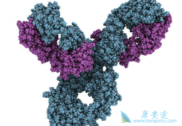 ��ķ����