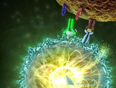 ��ķ����